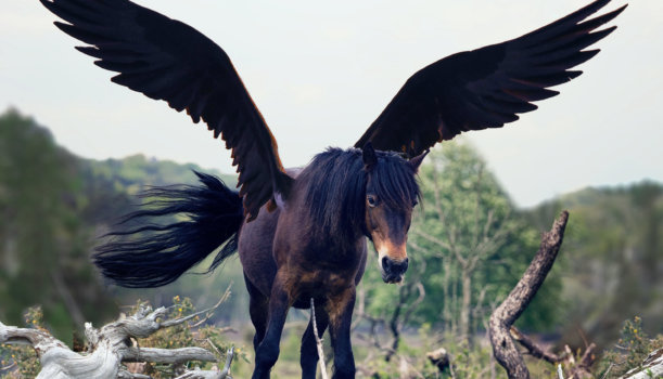 Fantasy Art: Brown Pegasus
