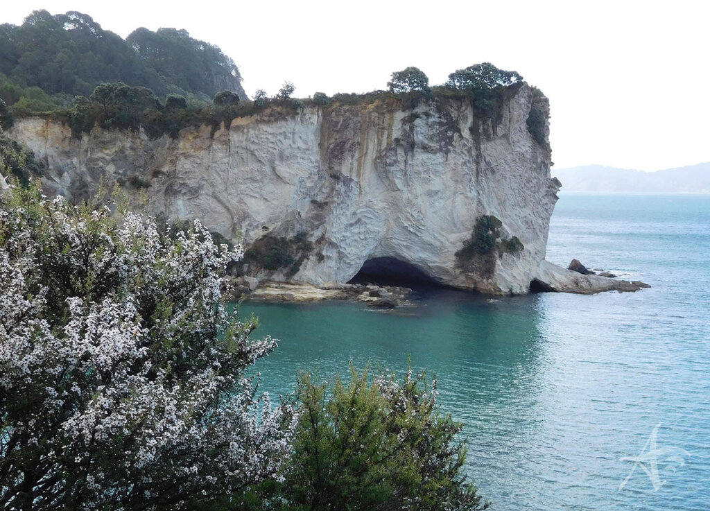 Cathedral Cove New Zealand Narnia