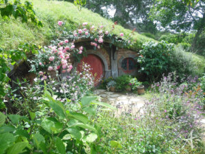 Flowers around Hobbit hold Hobbiton