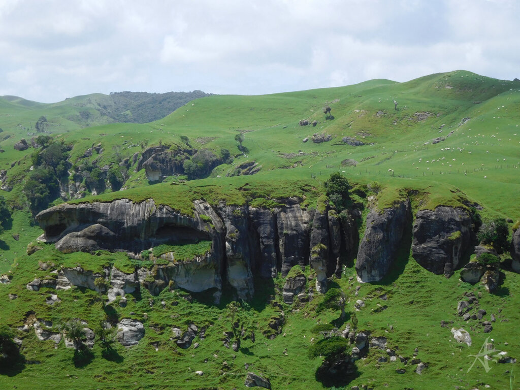 Port Waikato Hill Country Weathertop NZ