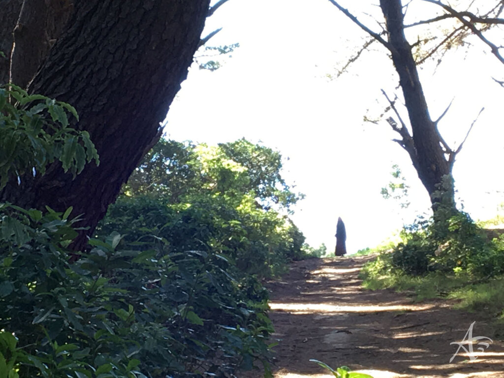 Mt Victoria Park Black Rider Film site