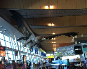 Giant Eagle Wellington Airport Lord of the Rings