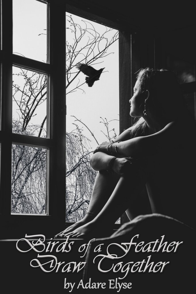 Flash Fiction Short Story Birds of a Feather Draw Together